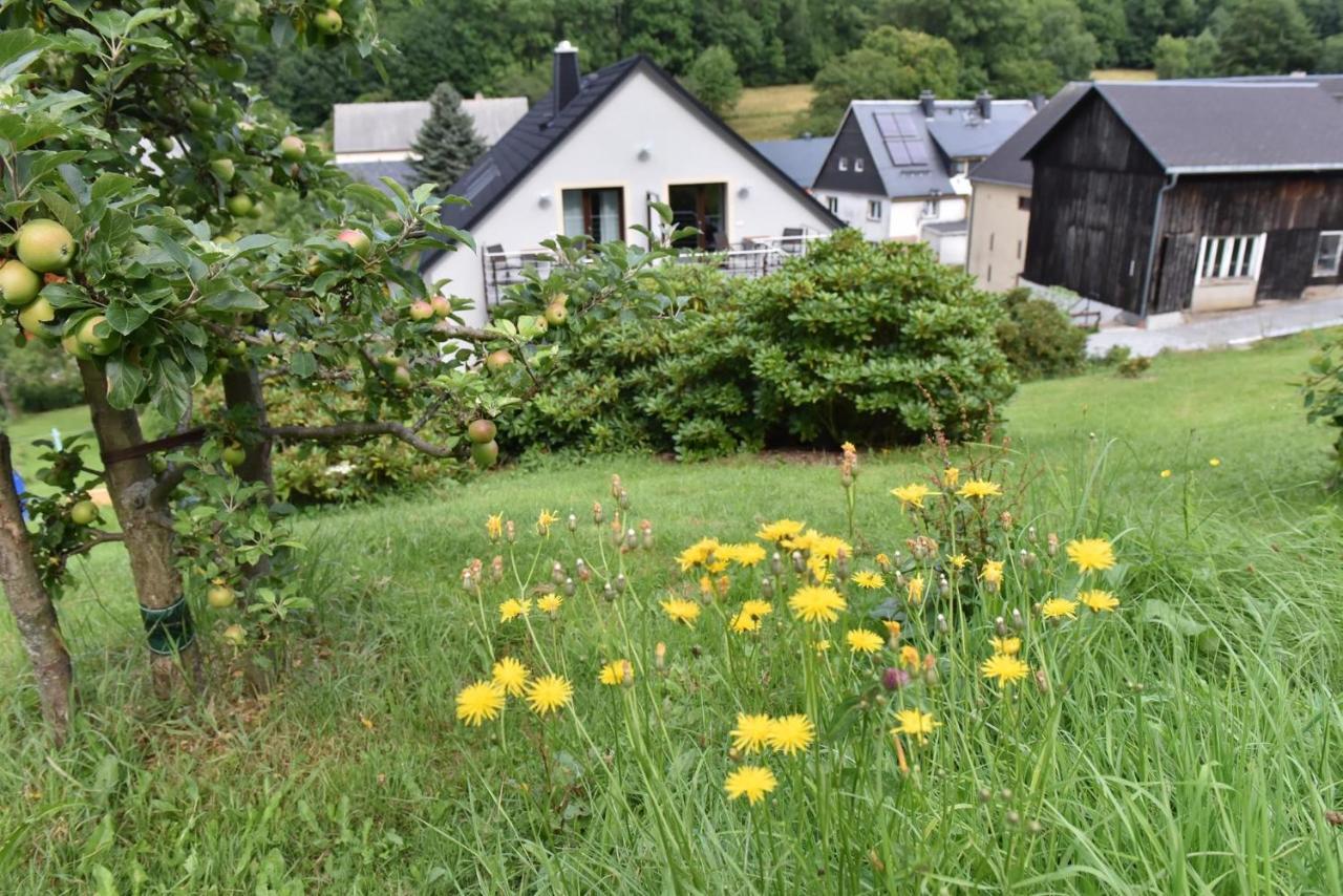 Ferienwohnung Biohof Seifert Altenberg  Exterior foto